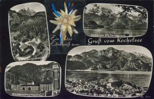 Material Ak Kochel am See Oberbayern, Echte Pflanze, Edelweiß, Herzogstand, Kraftwerk