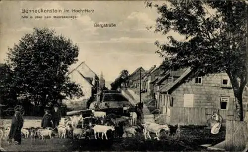 Ak Benneckenstein Oberharz, Bergstraße