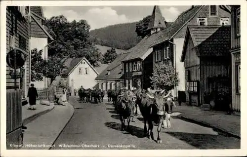 Ak Wildemann Clausthal Zellerfeld im Oberharz, Damenkapelle, Viehtrieb, Kühe