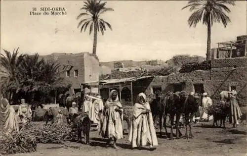 Ak Sidi Okba Algerian, Marktplatz, Passanten, Kamel, Gebäude