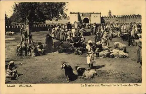 Ak Oudjda Oujda Marokko, Der Schafmarkt Porte des Têtes