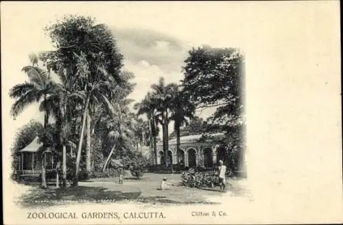 Ak Calcutta Kolkata Kalkutta Indien, Zoologische Gradens