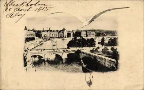 Ak Stockholm Schweden, Möwe im Flug über die Stadt