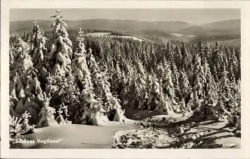 Ak Schönes Vogtland, Winterlandschaft