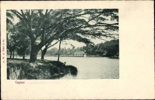 Ak Kandy Sri Lanka Ceylon, See