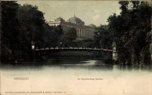 Ak Hamburg Mitte Altstadt, im Botanischen Garten