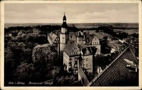 Ak Oleśnica Oels Schlesien, Kronprinzl. Schloss