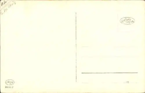 Ak Katze, Hauskatze, Schnurrbart, Tierportrait