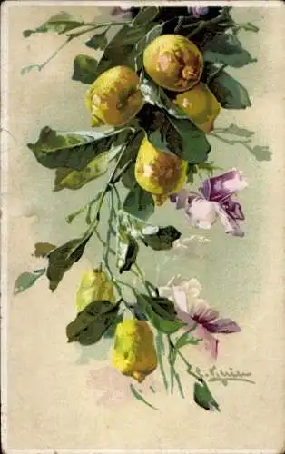 Präge Künstler Ak Klein, Catharina, Zitronen an einem Ast, Blüten