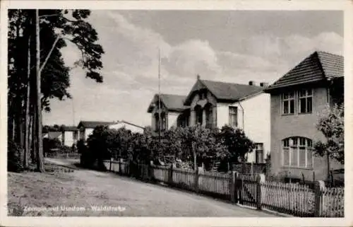Ak Ostseebad Zempin auf Usedom, Waldstraße