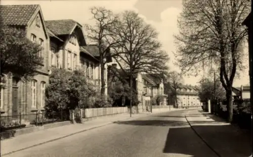 Ak Boizenburg an der Elbe, Teilansicht, Straßenpartie