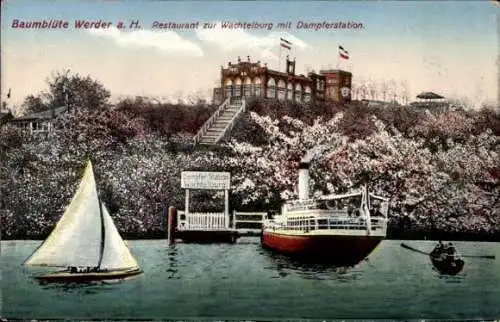 Ak Werder an der Havel, Baumblüte, Restaurant zur Wachtelburg, Dampferstation, Segelboot, Ruderboot