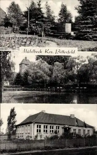 Ak Mühlbeck Muldestausee in Sachsen Anhalt, Denkmalanlagen, Teich, Kirche, Schulgebäude