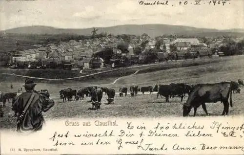 Ak Clausthal Zellerfeld im Oberharz, Panorama, Kuhherde
