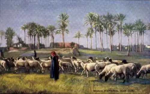 Ak Cairo Kairo Ägypten, Bedouin Shepherds