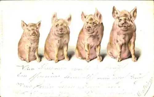 Litho Vier Schweine, Kitsch