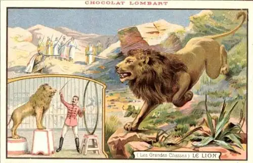 Litho Reklame, Lombard Chocolate, les Grandes Chasses, Le Lion, Löwe, Zirkus