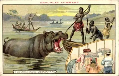 Litho Les Grandes Chasses, L'Hippopotame, Nilpferd im Zoo, Chocolat Lombart, Reklame