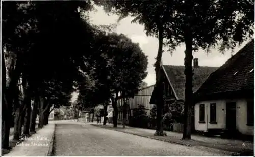 Ak Soltau Lüneburger Heide Niedersachsen, Celler Straße