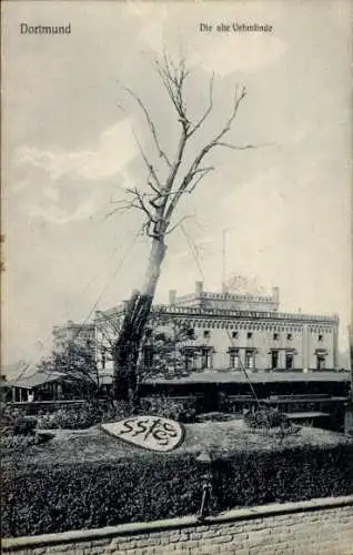 Ak Dortmund im Ruhrgebiet, Die alte Vehmlinde