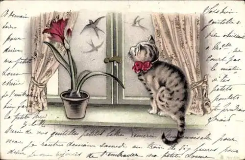 Litho Katze beobachtet Schwalben, Blumentopf, Blume