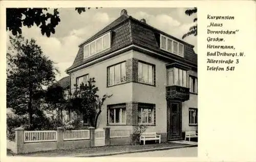 Ak Bad Driburg, Pension Haus Dornröschen, Alleestraße 3, W Heinemann