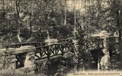 Ak Essen im Ruhrgebiet, Krupp'scher Park