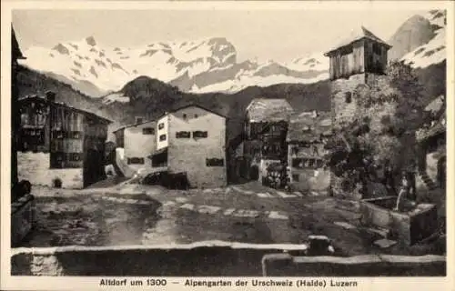 Ak Altdorf Kt Uri, Alpengarten der Urschweiz, Halde, Luzern