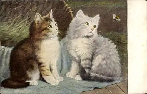 Litho Zwei junge Katzen und eine Hummel