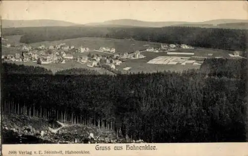 Ak Hahnenklee Bockswiese Goslar im Harz, Panorama