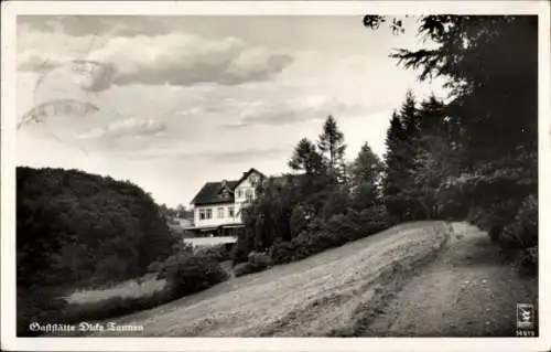 Ak Hohegeiß Braunlage im Oberharz, Gaststätte Dicke Tannen