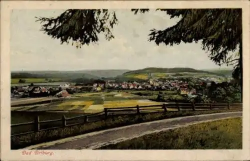 Ak Bad Driburg in Westfalen, Panorama