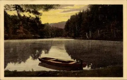 Ak Detmold am Teutoburger Wald, Donoper Teich, Boot