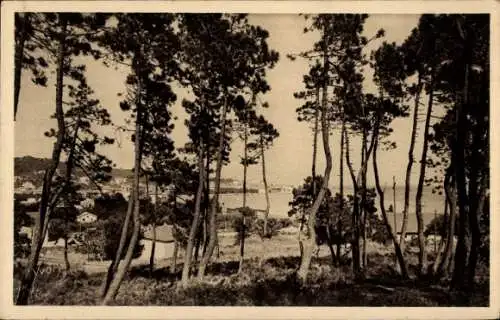 Ak Sainte Maxime Var, La Pinede