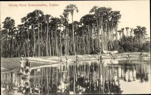 Ak Ceylon Sri Lanka, Dhoby Pond Trincomallee