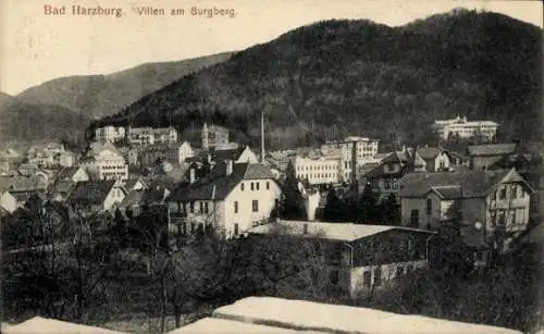 Ak Bad Harzburg in Niedersachsen, Kurhaus, Villen am Burgberg