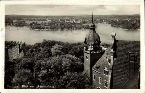 Ak Potsdam in Brandenburg, Blick vom Brauhausberg auf die Stadt