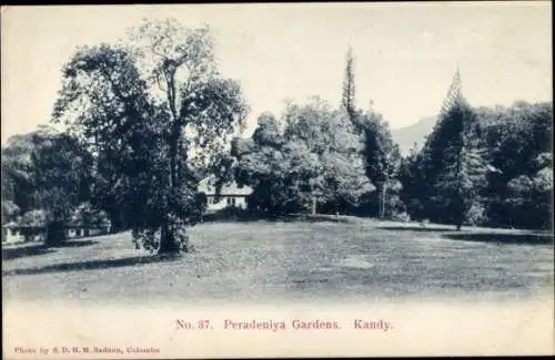 Ak Kandy Sri Lanka Ceylon, Peradeniya Gärten