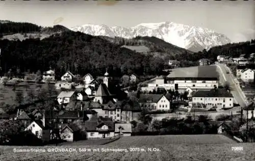 Ak Grünbach am Schneeberg Niederösterreich, Panorama, Schneeberg