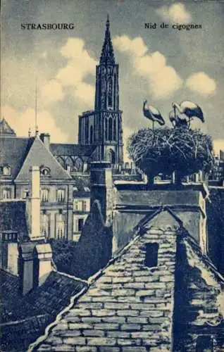 Ak Strasbourg Straßburg Elsass Bas Rhin, Storchennest, Kirche