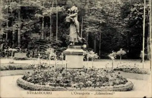 Ak Strasbourg Straßburg Elsass Bas Rhin, Orangerie, Gänseliesel