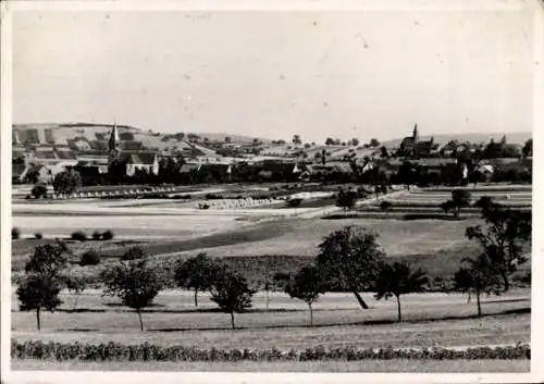 Ak Reutenbourg Elsass Bas Rhin, Panorama, Kirchen