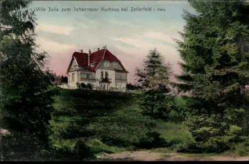 Ak Clausthal Zellerfeld im Oberharz, Villa Julia zum Johanneser Kurhaus