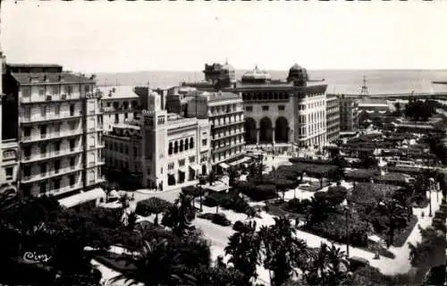 Ak Algier Algier Algerien, Gärten, Boulevard Laferriere