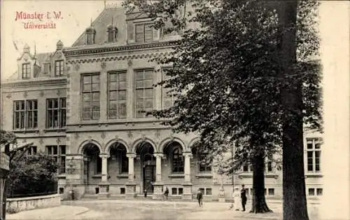 Ak Münster in Westfalen, Universität