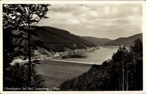 Ak Bad Lauterberg im Harz, Odertalsperre, Panorama