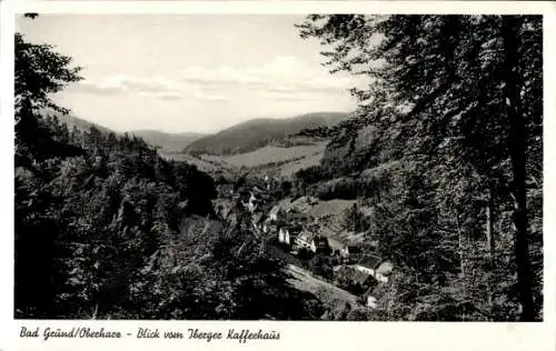 Ak Bad Grund im Oberharz, Blick vom Iberger Kaffeehaus