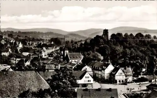 Ak Osterode am Harz, Teilansicht, Freiheit, Alte Burg