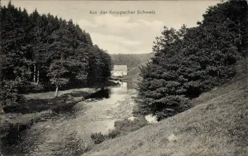 Ak Kroppach im Westerwald, Kroppacher Schweiz