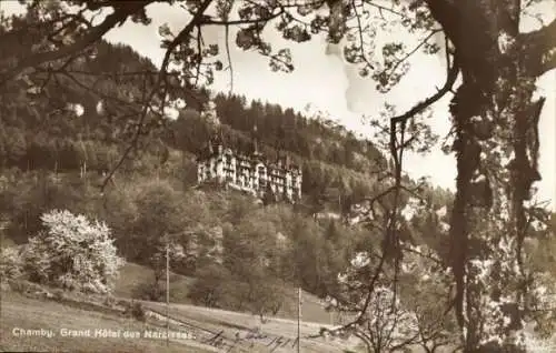 Ak Chamby sur Montreux Kanton Waadt Schweiz, Grand Hôtel des Narcisses